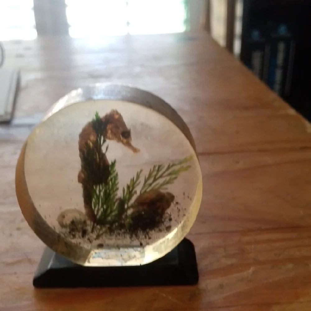 Seahorse Resin Display with Black Base